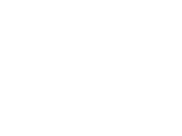 dyson big