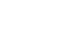 fordt big