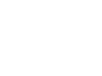 temsa big