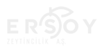ersoy.fw
